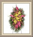 Burlington Flower Shop, 543 14th St, Burlington, CO 80807, (719)_346-8442